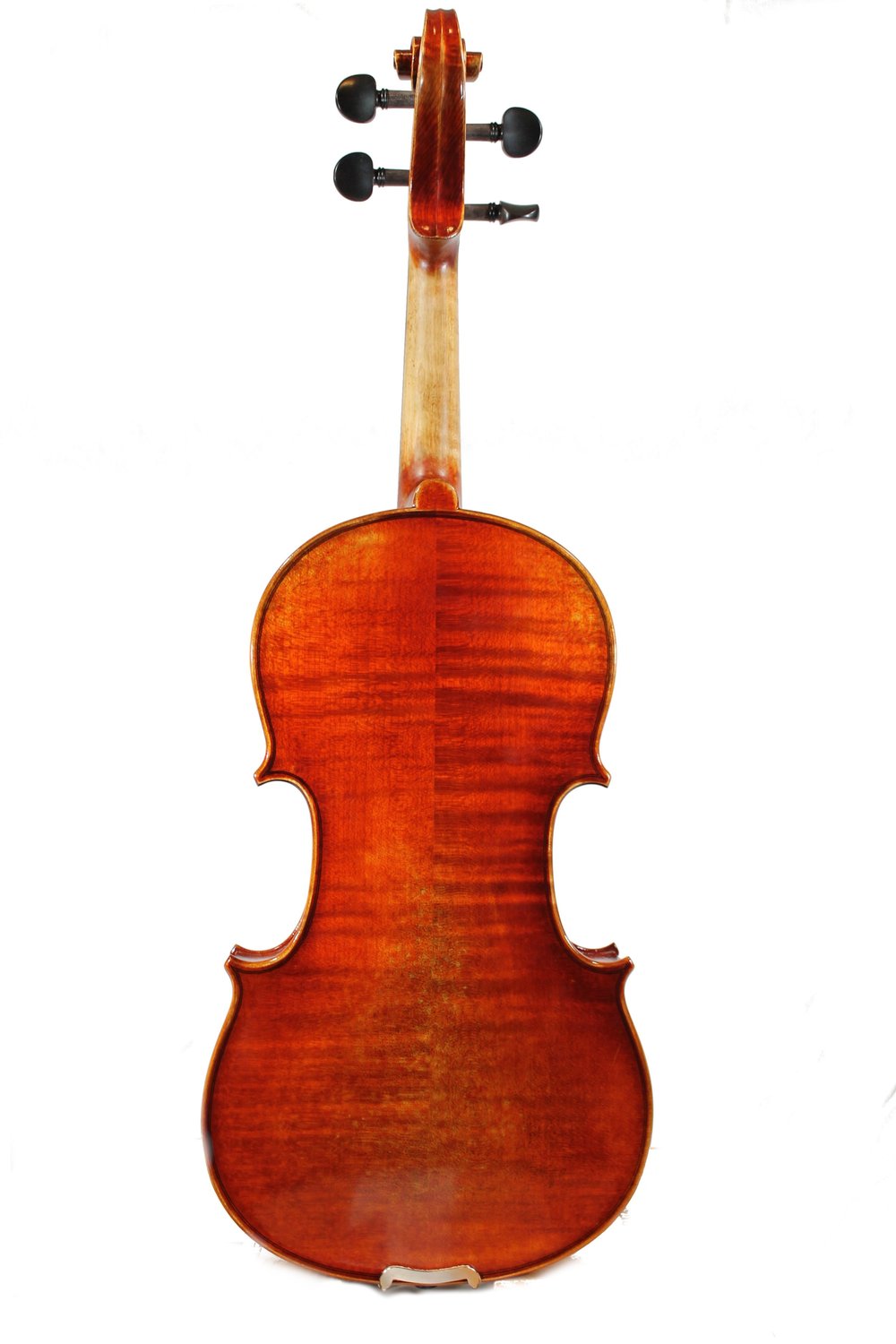 Ligure+Back.JPG?format=1000w